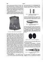 giornale/TO00196196/1892-1893/unico/00000270