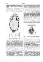 giornale/TO00196196/1892-1893/unico/00000272