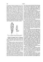 giornale/TO00196196/1892-1893/unico/00000274