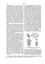 giornale/TO00196196/1892-1893/unico/00000280