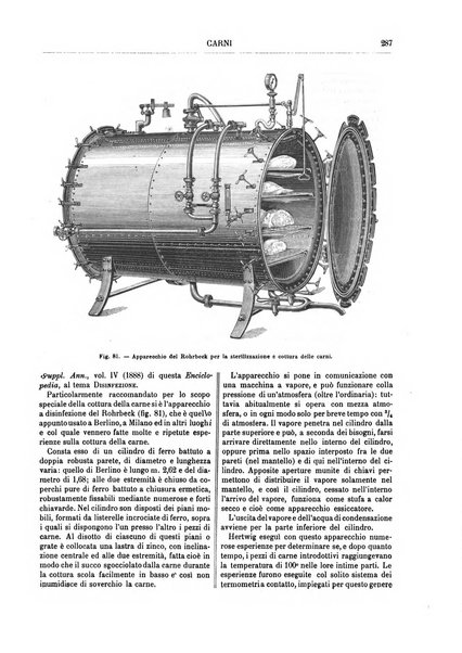 Supplemento annuale alla Enciclopedia di chimica scientifica e industriale colle applicazioni all'agricoltura ed industrie agronomiche ...