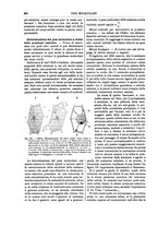 giornale/TO00196196/1894-1895/unico/00000298