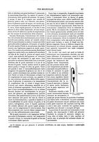 giornale/TO00196196/1894-1895/unico/00000315