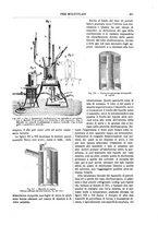 giornale/TO00196196/1894-1895/unico/00000379