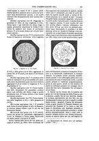 giornale/TO00196196/1895-1896/unico/00000151