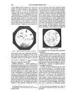 giornale/TO00196196/1895-1896/unico/00000152