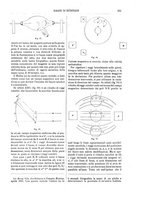 giornale/TO00196196/1896-1897/unico/00000249