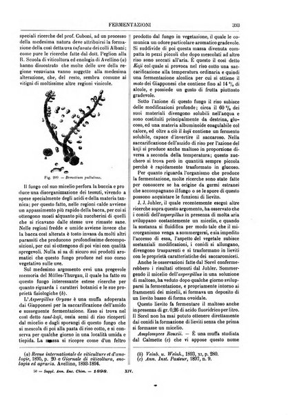 Supplemento annuale alla Enciclopedia di chimica scientifica e industriale colle applicazioni all'agricoltura ed industrie agronomiche ...