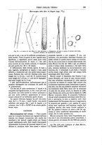 giornale/TO00196196/1898-1899/unico/00000415