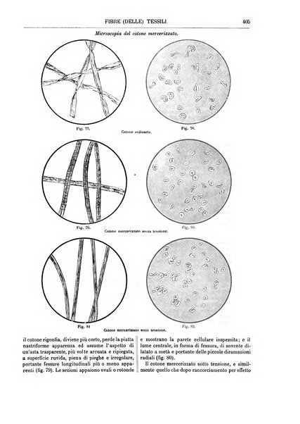 Supplemento annuale alla Enciclopedia di chimica scientifica e industriale colle applicazioni all'agricoltura ed industrie agronomiche ...