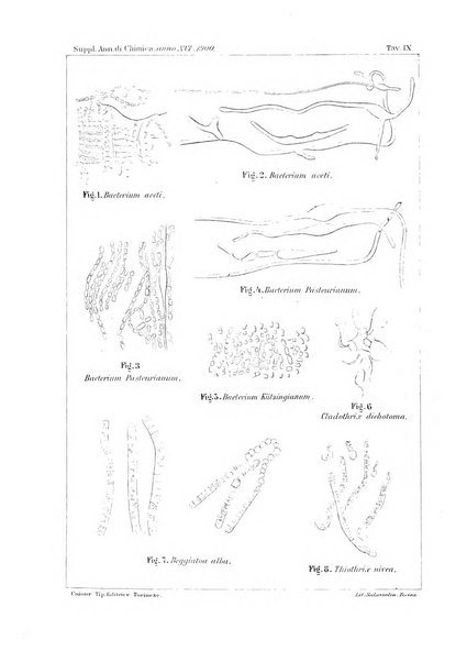 Supplemento annuale alla Enciclopedia di chimica scientifica e industriale colle applicazioni all'agricoltura ed industrie agronomiche ...