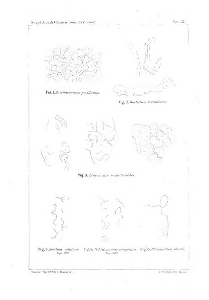 Supplemento annuale alla Enciclopedia di chimica scientifica e industriale colle applicazioni all'agricoltura ed industrie agronomiche ...