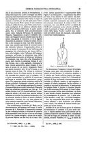 giornale/TO00196196/1900-1901/unico/00000035