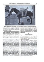 giornale/TO00196196/1902-1903/unico/00000093