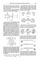 giornale/TO00196196/1903-1904/unico/00000367