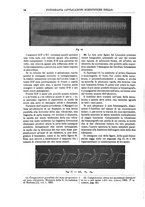 giornale/TO00196196/1904-1905/unico/00000064