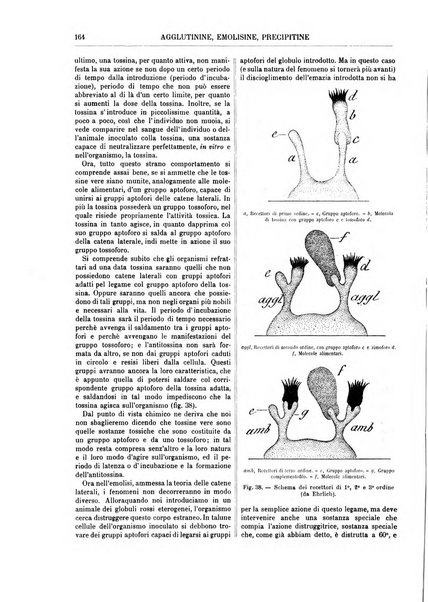 Supplemento annuale alla Enciclopedia di chimica scientifica e industriale colle applicazioni all'agricoltura ed industrie agronomiche ...