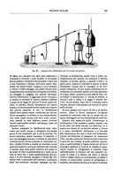 giornale/TO00196196/1905-1906/unico/00000223