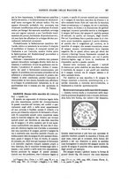 giornale/TO00196196/1905-1906/unico/00000237