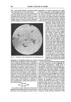 giornale/TO00196196/1905-1906/unico/00000260