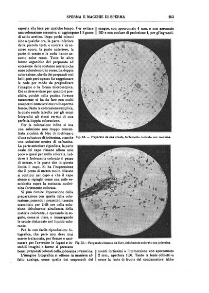 Supplemento annuale alla Enciclopedia di chimica scientifica e industriale colle applicazioni all'agricoltura ed industrie agronomiche ...