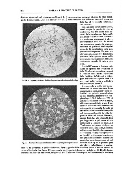 Supplemento annuale alla Enciclopedia di chimica scientifica e industriale colle applicazioni all'agricoltura ed industrie agronomiche ...