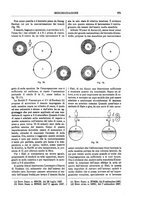 giornale/TO00196196/1905-1906/unico/00000285