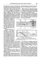 giornale/TO00196196/1905-1906/unico/00000339