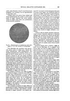 giornale/TO00196196/1909-1910/unico/00000285