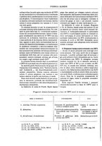 giornale/TO00196196/1910-1911/unico/00000424