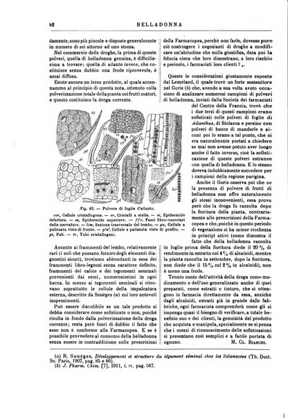 Supplemento annuale alla Enciclopedia di chimica scientifica e industriale colle applicazioni all'agricoltura ed industrie agronomiche ...