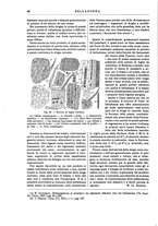 giornale/TO00196196/1912-1913/unico/00000094