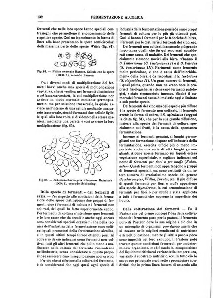 Supplemento annuale alla Enciclopedia di chimica scientifica e industriale colle applicazioni all'agricoltura ed industrie agronomiche ...