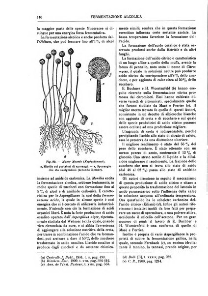 Supplemento annuale alla Enciclopedia di chimica scientifica e industriale colle applicazioni all'agricoltura ed industrie agronomiche ...