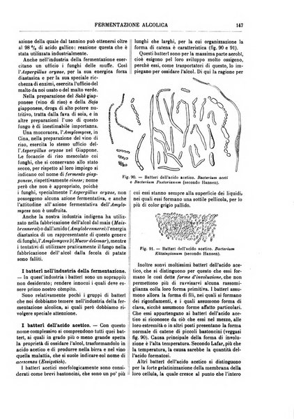 Supplemento annuale alla Enciclopedia di chimica scientifica e industriale colle applicazioni all'agricoltura ed industrie agronomiche ...