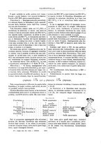 giornale/TO00196196/1912-1913/unico/00000239