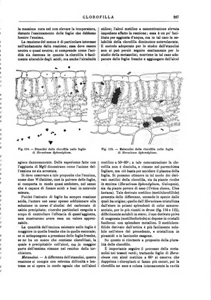 Supplemento annuale alla Enciclopedia di chimica scientifica e industriale colle applicazioni all'agricoltura ed industrie agronomiche ...