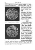 giornale/TO00196196/1912-1913/unico/00000276