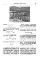 giornale/TO00196196/1912-1913/unico/00000353