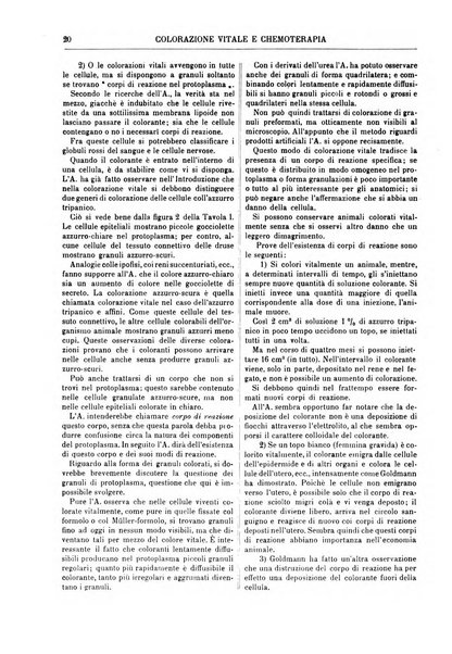 Supplemento annuale alla Enciclopedia di chimica scientifica e industriale colle applicazioni all'agricoltura ed industrie agronomiche ...