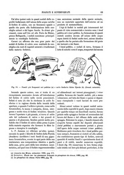 Supplemento annuale alla Enciclopedia di chimica scientifica e industriale colle applicazioni all'agricoltura ed industrie agronomiche ...