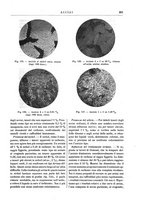 giornale/TO00196196/1916/unico/00000321