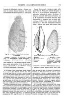 giornale/TO00196196/1917/unico/00000191