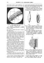 giornale/TO00196196/1917/unico/00000192