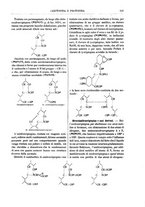 giornale/TO00196196/1917/unico/00000357