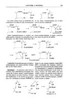 giornale/TO00196196/1917/unico/00000359