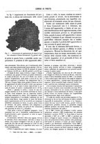 giornale/TO00196196/1918/unico/00000023