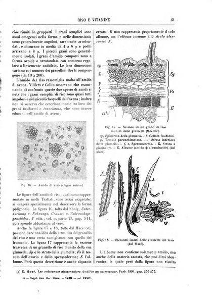 Supplemento annuale alla Enciclopedia di chimica scientifica e industriale colle applicazioni all'agricoltura ed industrie agronomiche ...