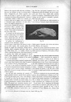 giornale/TO00196196/1918/unico/00000121