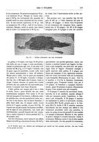 giornale/TO00196196/1918/unico/00000129